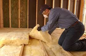 Best Eco-Friendly or Green Insulation Solutions  in Lancaster, TX